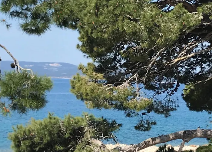 Bellamare Appartamento *